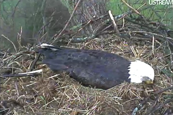 ScreenHunter_04 Mar. 22 17.29.jpg